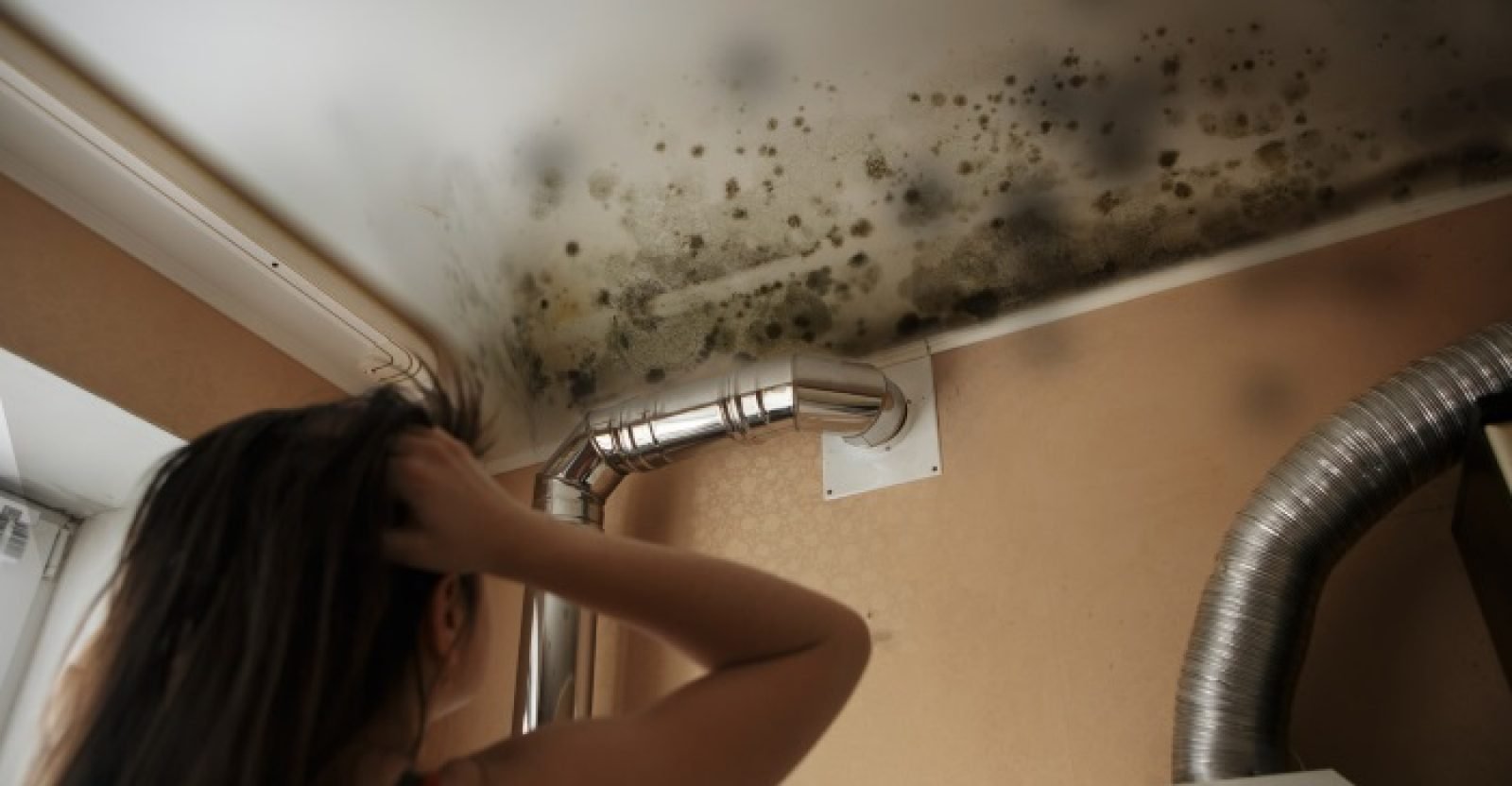 effects-of-black-mold-on-human-health