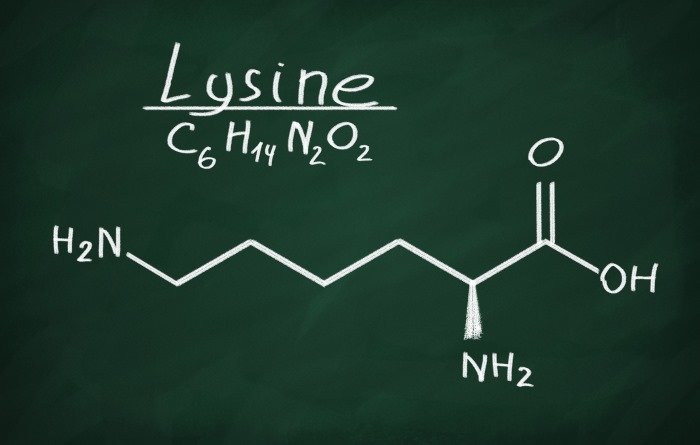 13 Evidence Based Benefits of Lysine Well Being Secrets