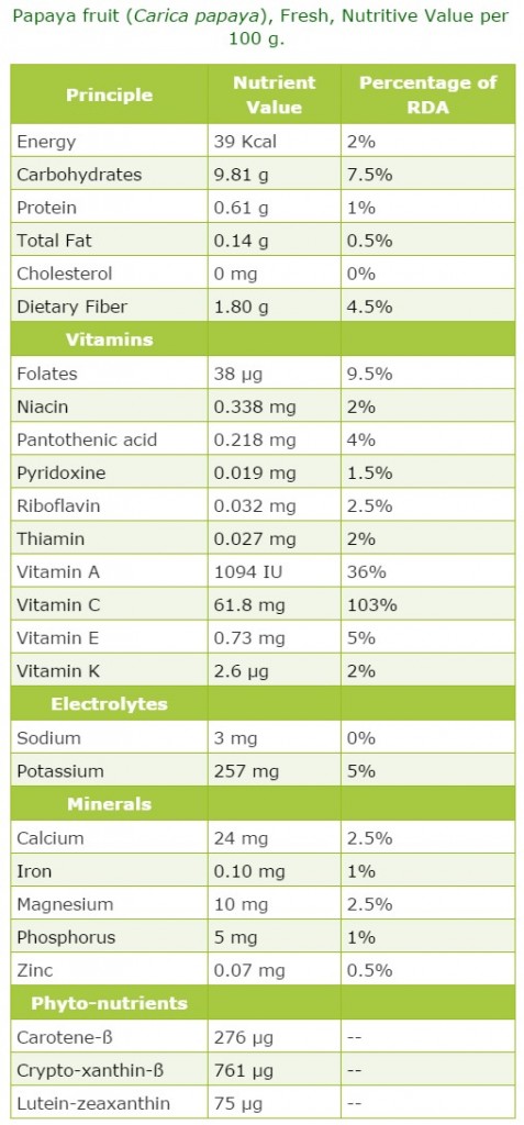 25 Evidence-Based Benefits of Papaya - Well-Being Secrets