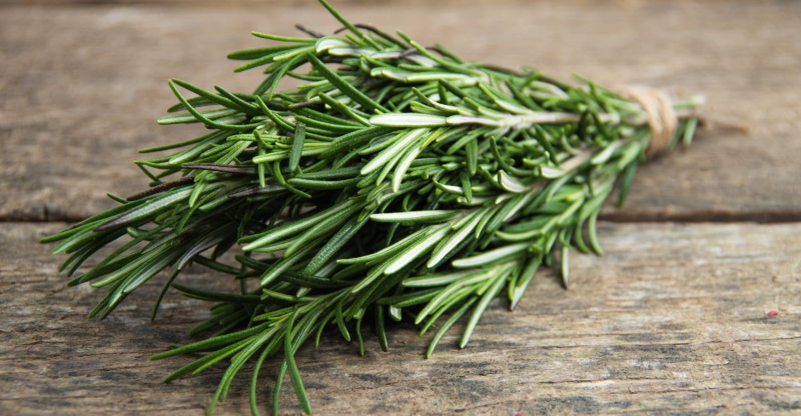 rosemary time