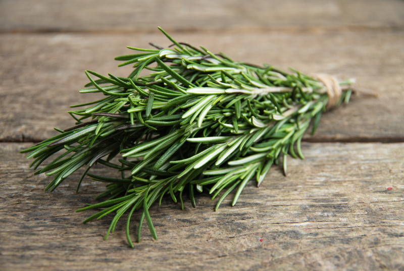 14 Evidence-Based Benefits of Rosemary - Well-Being Secrets