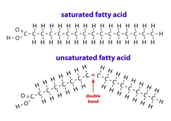 Is Saturated Fat Good or Bad? - Well-Being Secrets