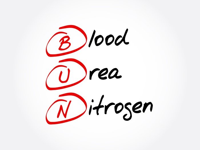 bun blood urea nitrogen normal range